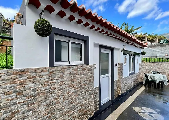 Modern Minimalist Studio With Essential Comfort